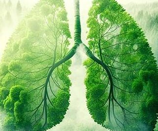Poumons verts, Dyspnée