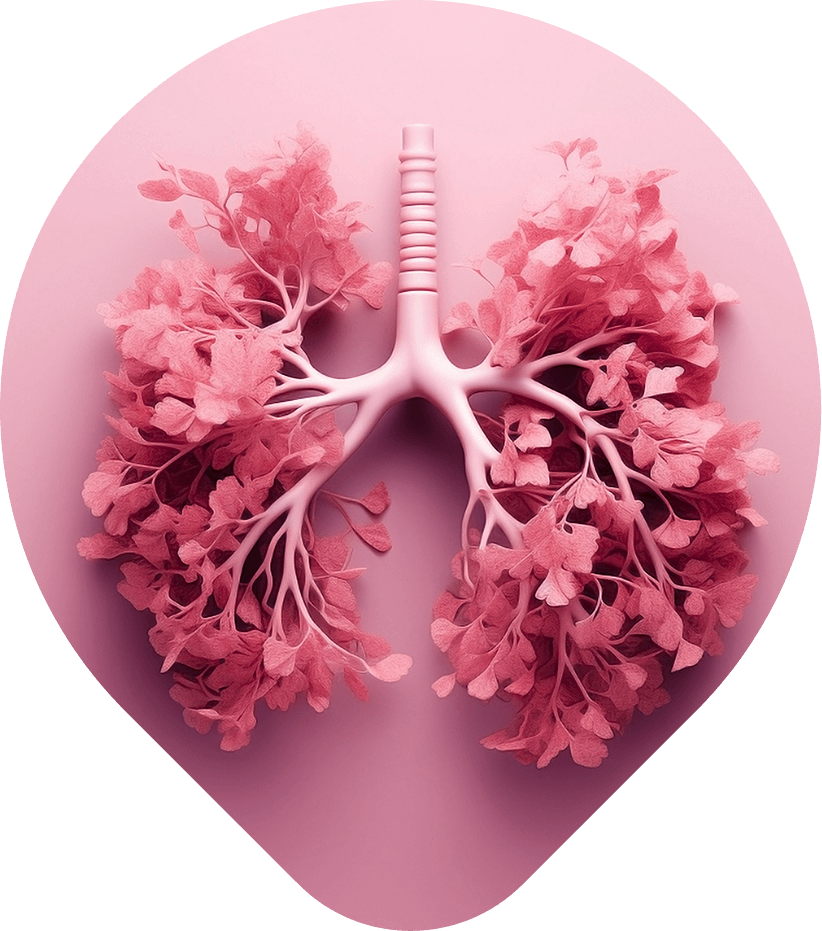 Dilatation des bronches - Occitan'air